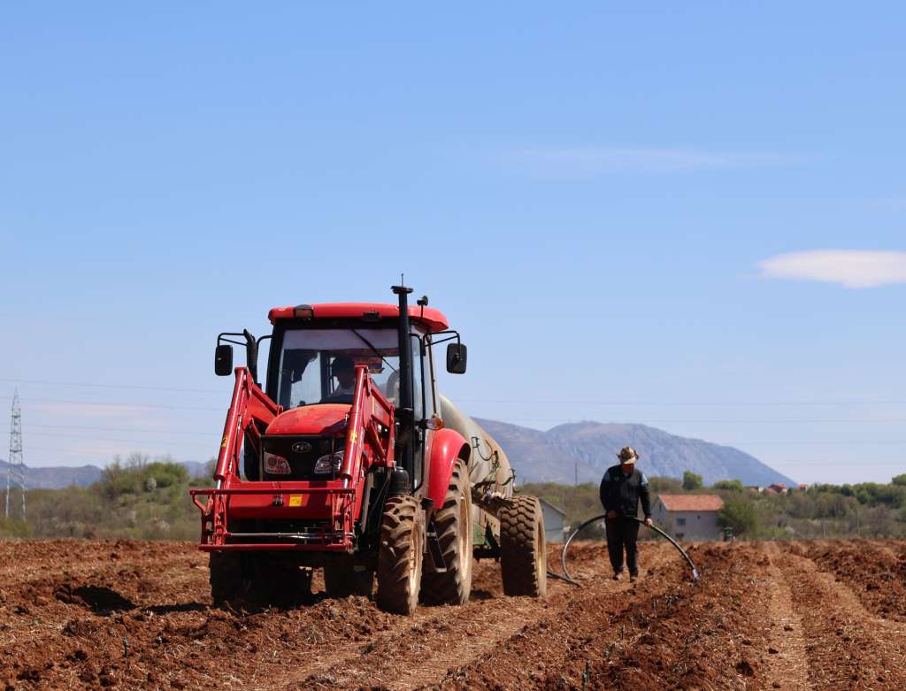 VIDEO Vinarija Domano podiže 30 hektara novih nasada žilavke