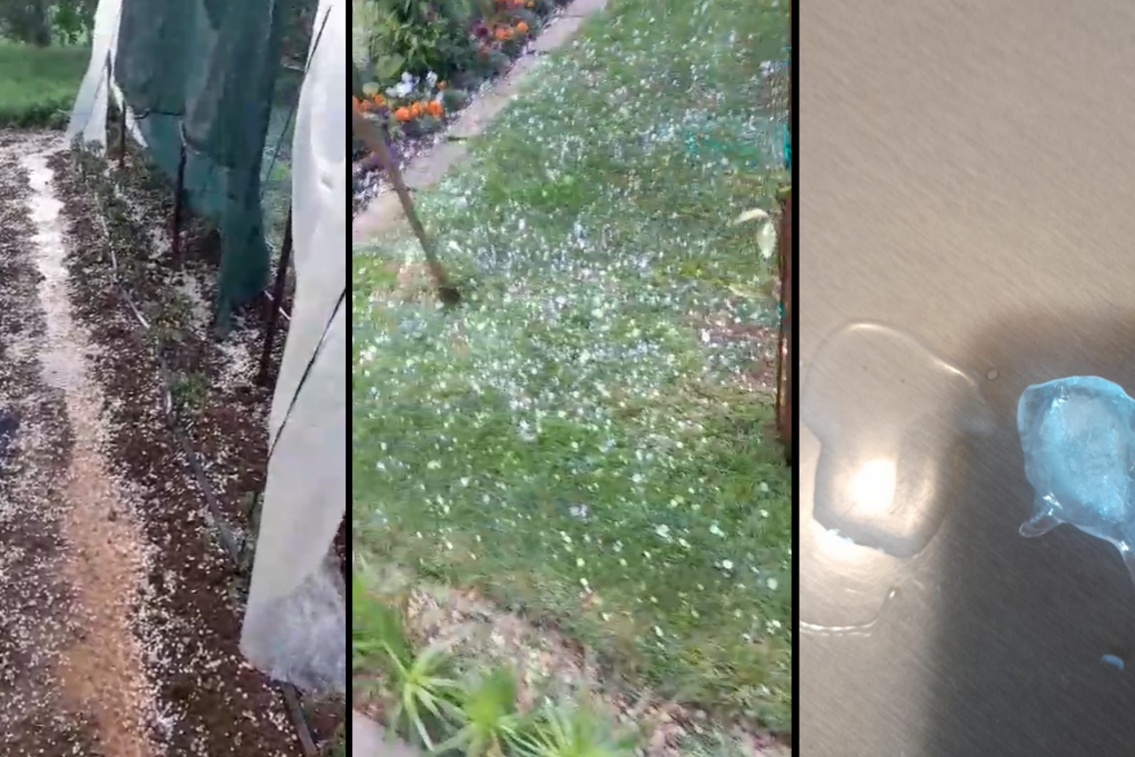 VIDEO Tuča poharala Soviće kod Gruda: U nekoliko minuta uništeni vinogradi, vrtovi i ljetina